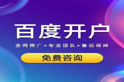 某电商平台的SEM专员营销策略
